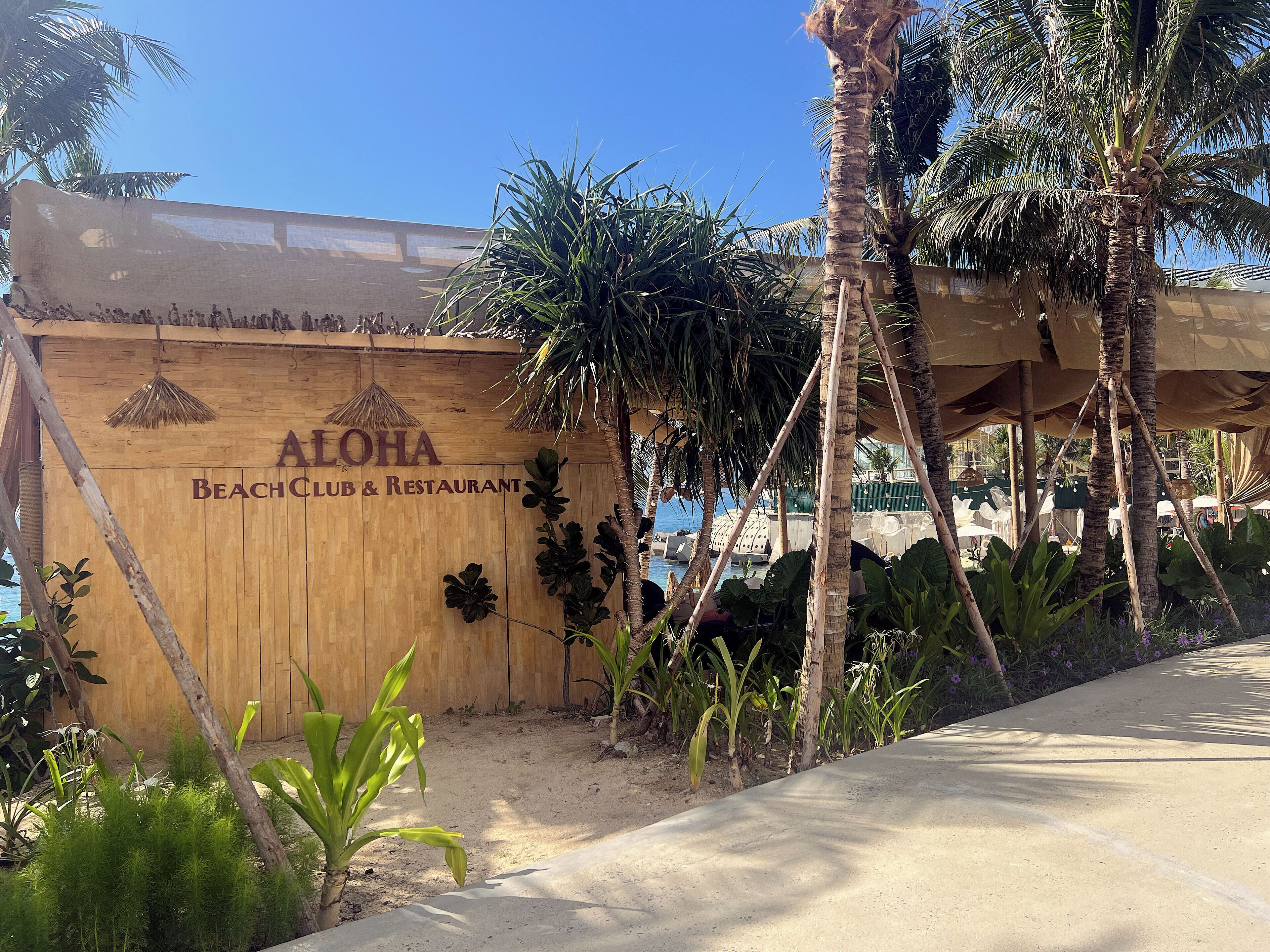 Un panneau en bois sur lequel on peut lire « ALOHA Beach Club & Restaurant », entouré de palmiers et surplombant un ciel dégagé.