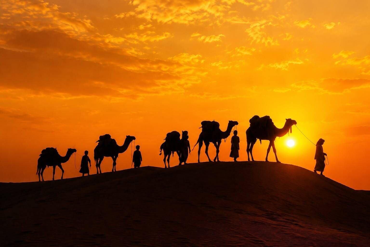 La silhouette de chameaux et de personnes se découpant sur le ciel d’un coucher de soleil.