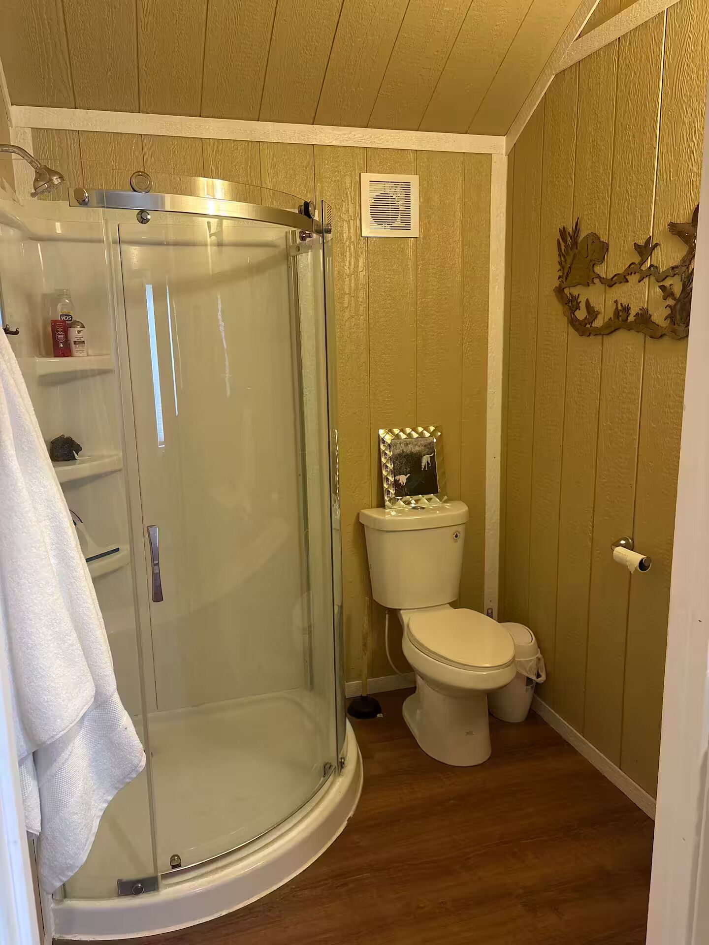 A bathroom with a glass shower enclosure, a toilet, and a wall-mounted mirror.