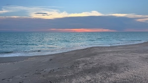 Ein Strand mit blauem Himmel und ruhiger See.