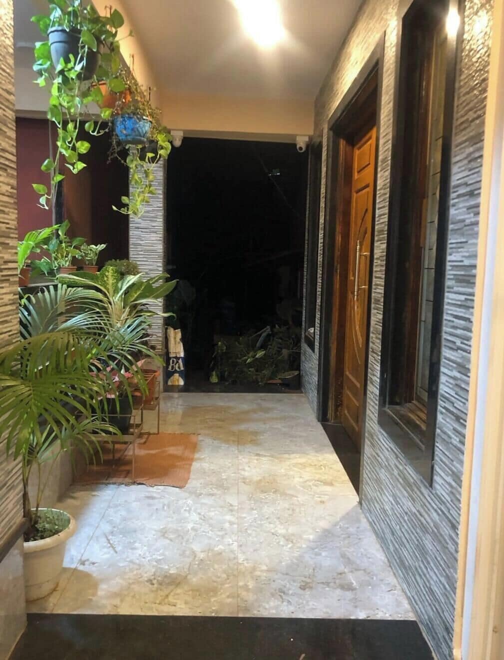 A hallway with potted plants, a wooden door, and a tiled floor.