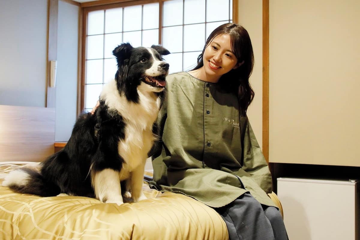 Economy Twin Room - Pet-Friendly, Non Smoking
