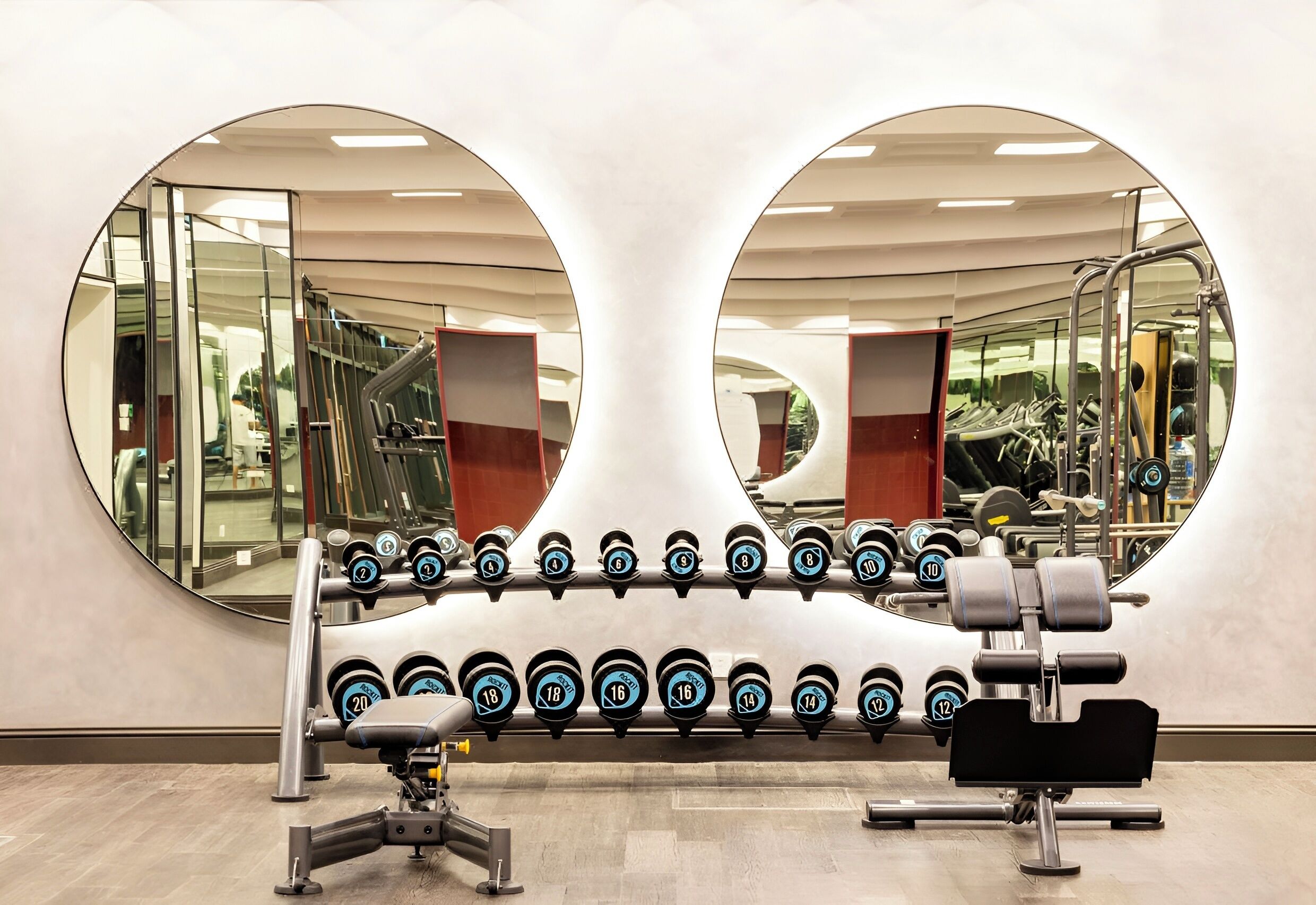 Gimnasio
