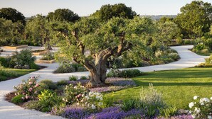 Un jardín ajardinado con un camino de grava, plantas florecientes y un árbol grande.