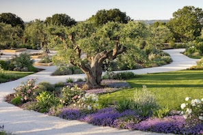 A landscaped garden with a gravel path, flowering plants, and a large tree.