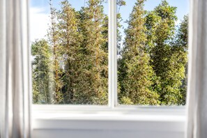 Ein Fenster mit Blick auf dichtes Grün und ein Gebäude im Hintergrund.