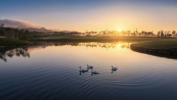 A serene lake with swans, surrounded by a golf course and trees, reflecting the sunset.