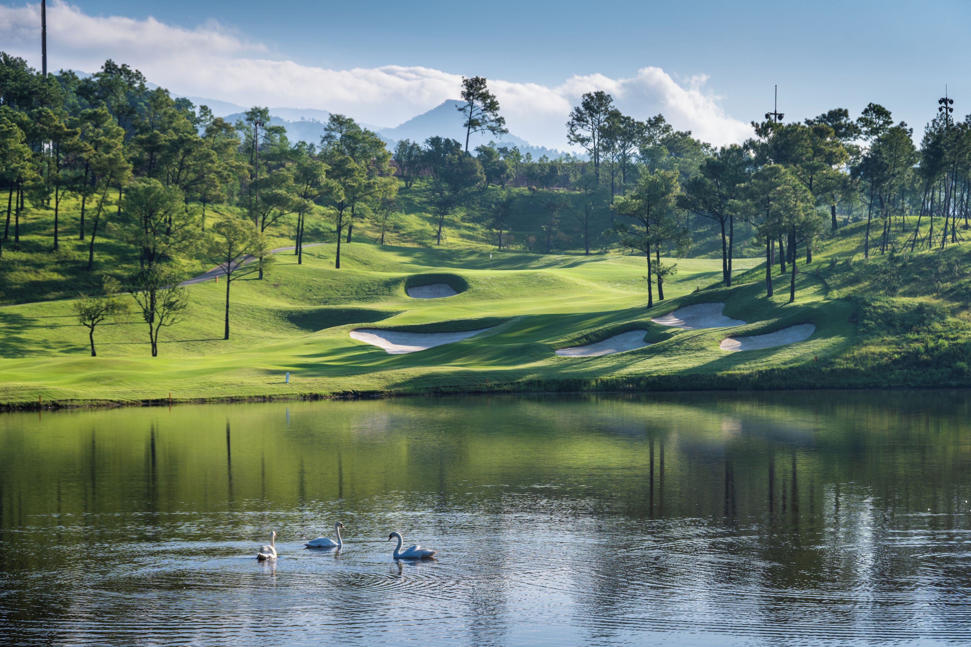 Golf view