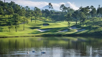 Golf view