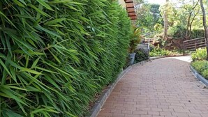Un camino pavimentado que lleva a un edificio con un seto verde a un lado.