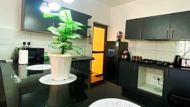Una cocina moderna con encimera negra, una planta en maceta y un microondas.
