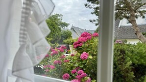 A window view of a garden with hydrangea bushes and a house in the background. - Süderstraße, Apartment 09 – Landhaus - Cozy 2-room vacation rental for 4 (Sylt)