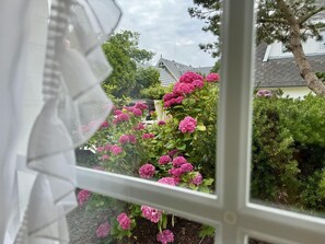 Blick aus dem Fenster auf einen Garten mit Hortensien und ein Haus im Hintergrund.