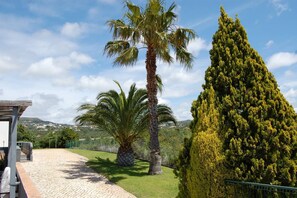 Un chemin pavé mène à un bâtiment agrémenté d’une pergola, entouré de palmiers et d’un grand conifère.