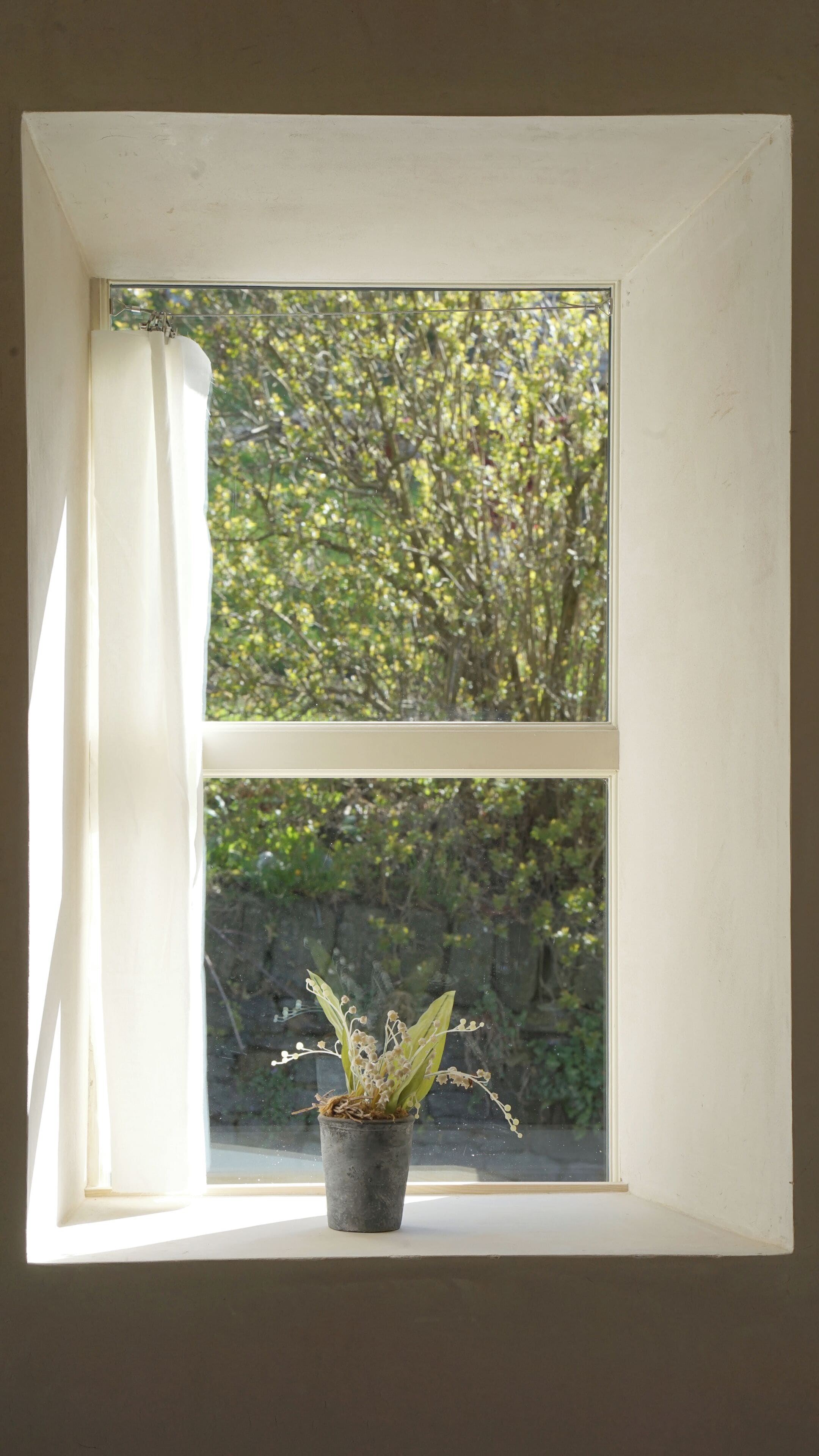 Una ventana con una planta en maceta en el alféizar, cortinas entreabiertas y vistas a árboles fuera.
