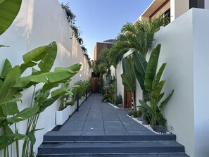 A narrow pathway flanked by white walls and lush tropical plants, leading to a building entrance. - Modern 2BR Villa Umalas Great Location (Umalas)