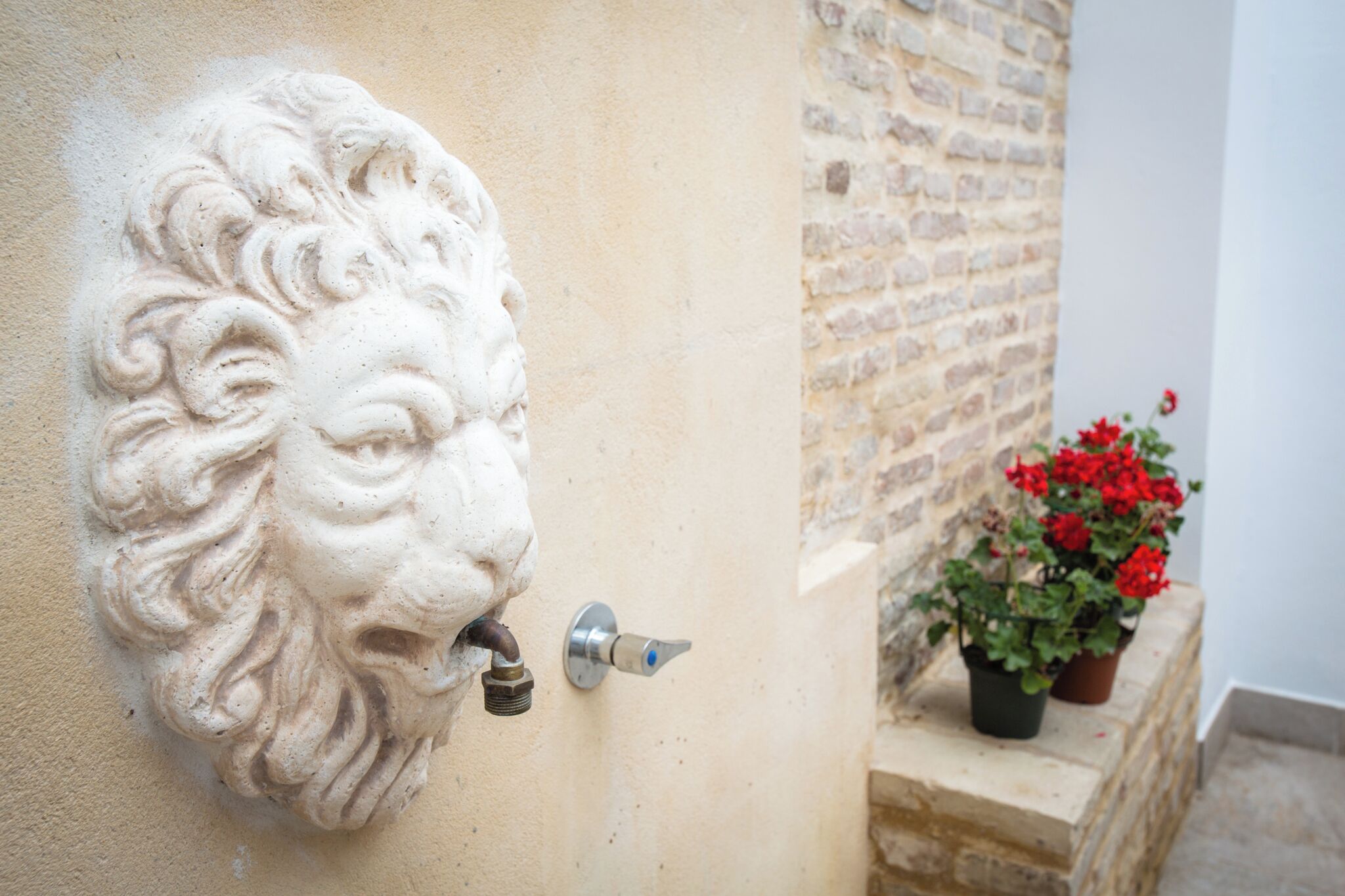 A stone lion head sculpture attached to a wall, a metal door handle, and a potted red flower plant.