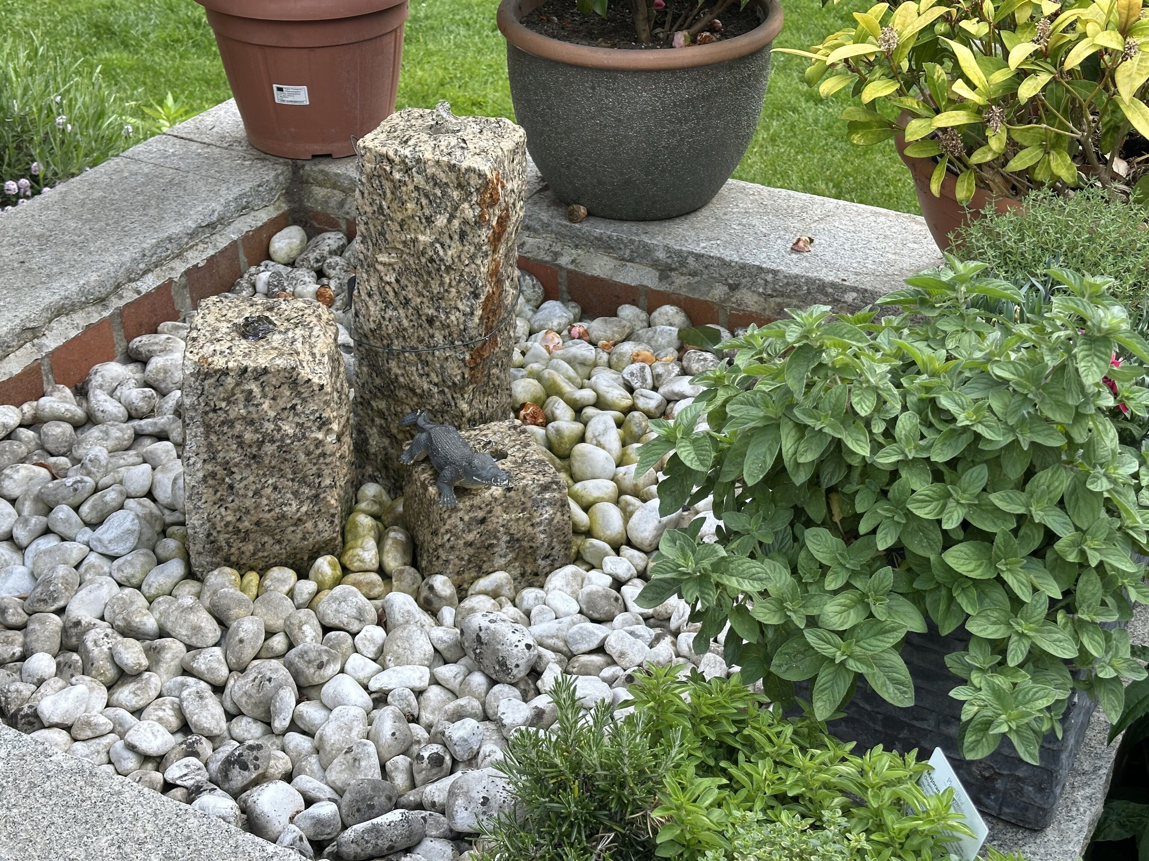 Ein Garten mit Felsen, Kübelpflanzen und einem kleinen Baum.
