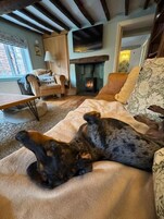 A dog lying on a sofa in a room with a fireplace, a television, and a window.