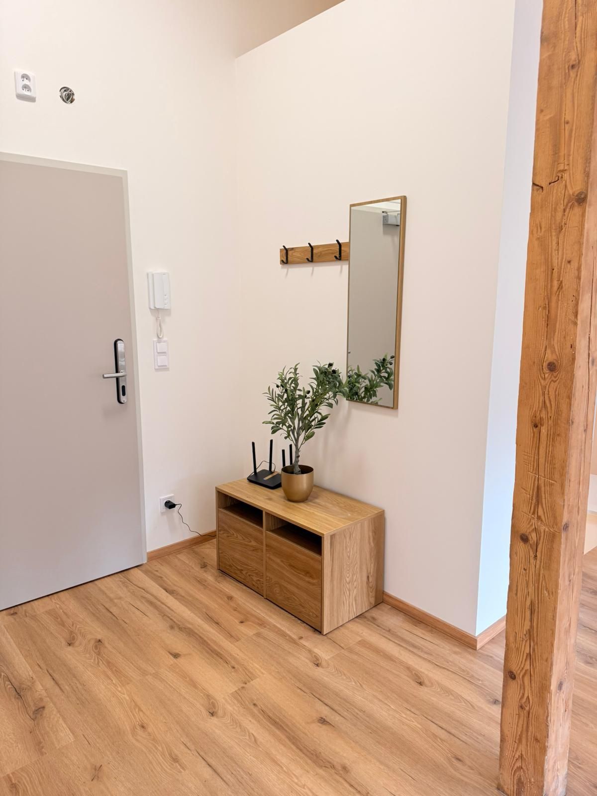A hallway with a wooden floor, a white door, a small wooden console table with a plant, a wall-mounted mirror, and a coat rack.