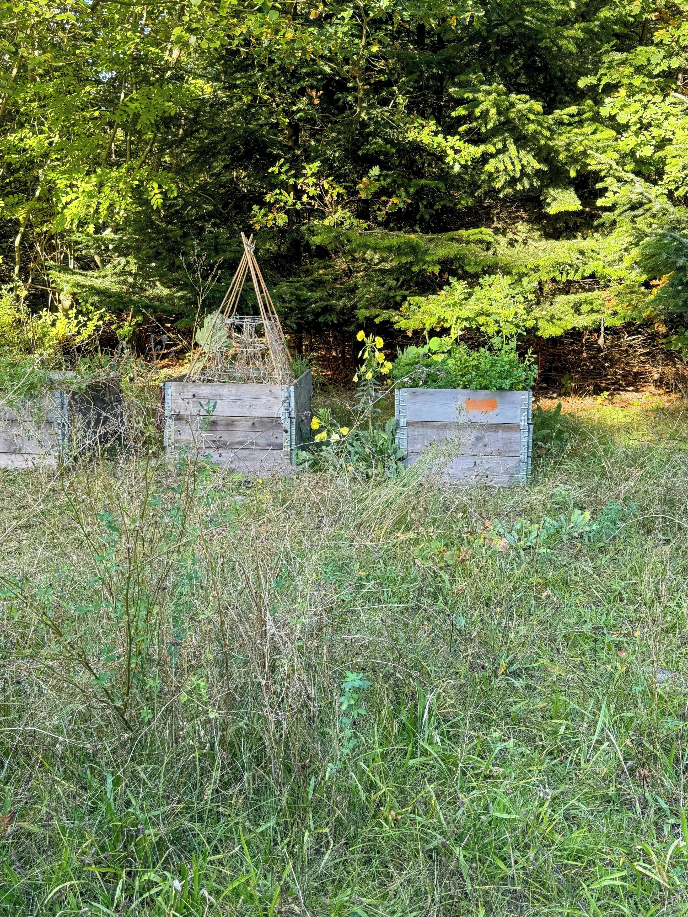 Parco della struttura