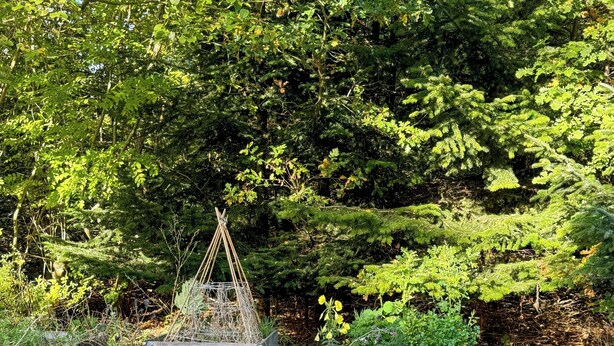 A natural outdoor setting with wooden structures, possibly for storage or as part of a garden. - Authentic Swedish summer house at Asnæs plantation (Asnæs)