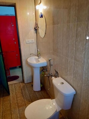 Combined shower/tub, soap, toilet paper - Mitra Hostel (Arambol)