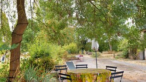 An outdoor seating area with a table and chairs, surrounded by greenery and trees.