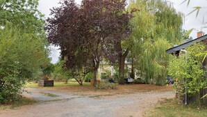 A gravel path leading through a garden with trees and a wooden structure.