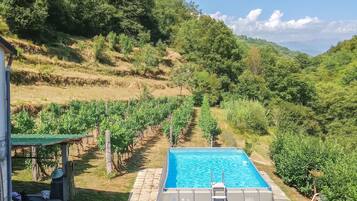 A swimming pool with a ladder, surrounded by a vineyard and a hillside.