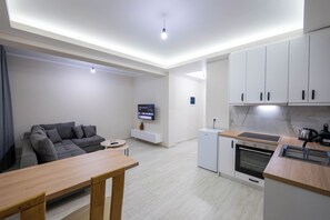 Un apartamento moderno con sala de estar, kitchenette y comedor.