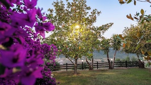 A garden with a wooden fence, trees, and purple flowers. - Villa Verde (Aliko)