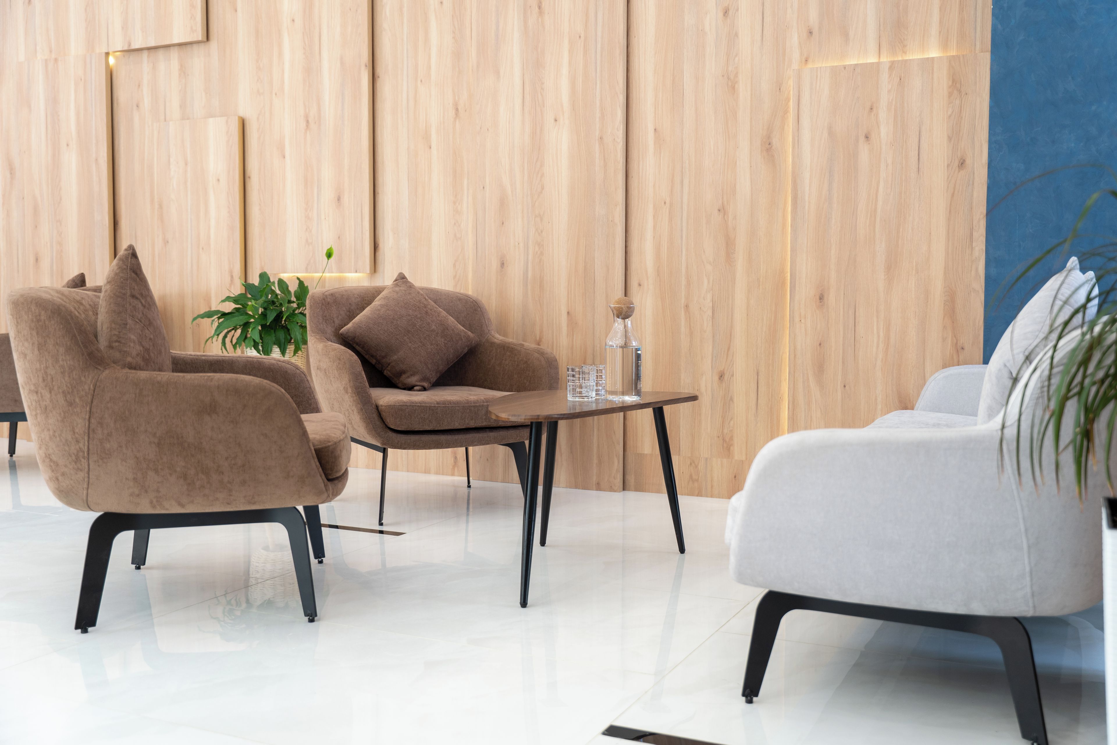 A modern living room with two sofas, a coffee table, and a potted plant.
