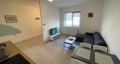 Chill House Deva Srudio B
