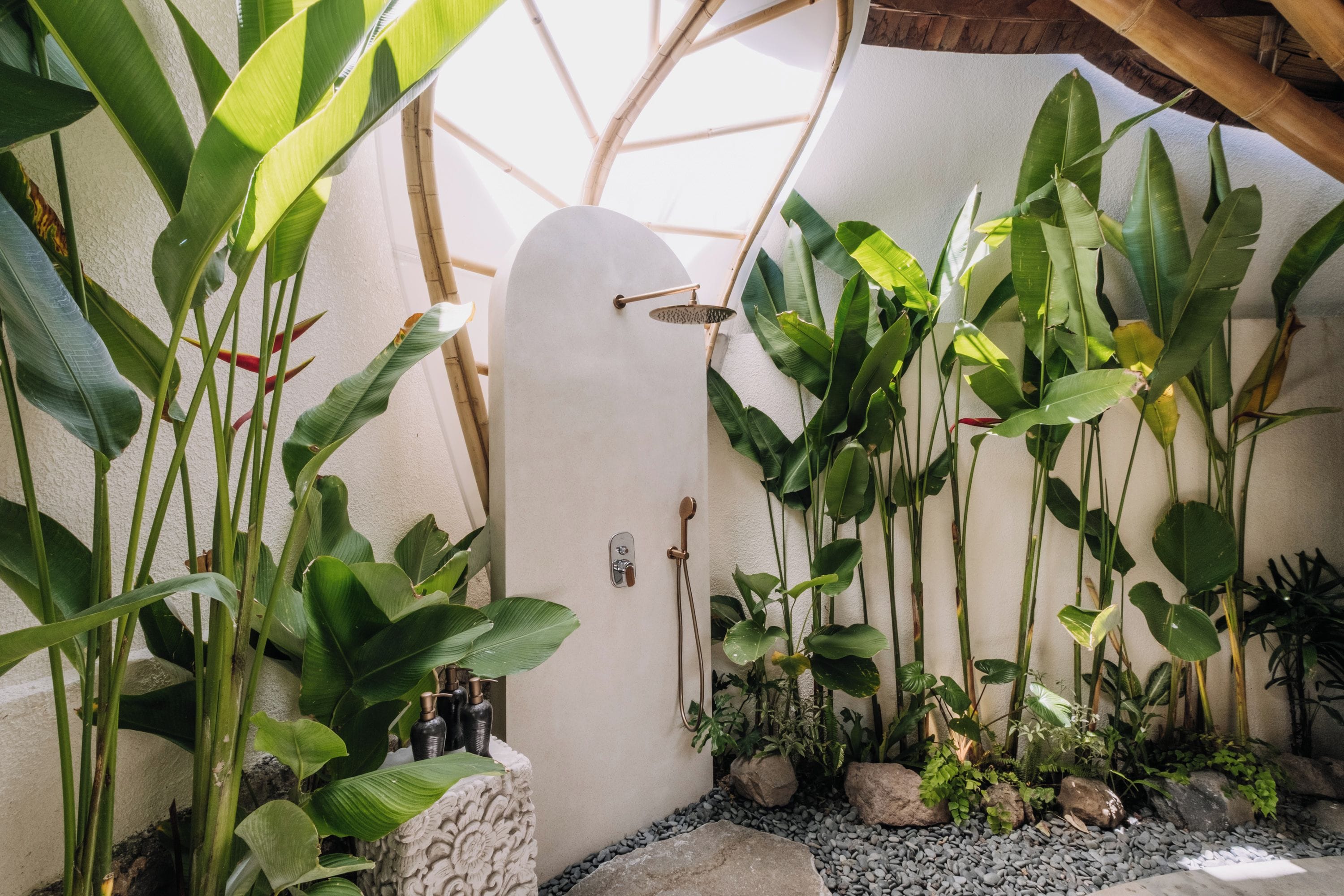 A tropical indoor garden with various plants, a stone wall, and a wooden ceiling structure.
