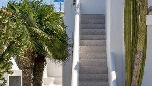 Un bâtiment blanc avec un escalier menant à une porte, entouré de cactus et d’un palmier.