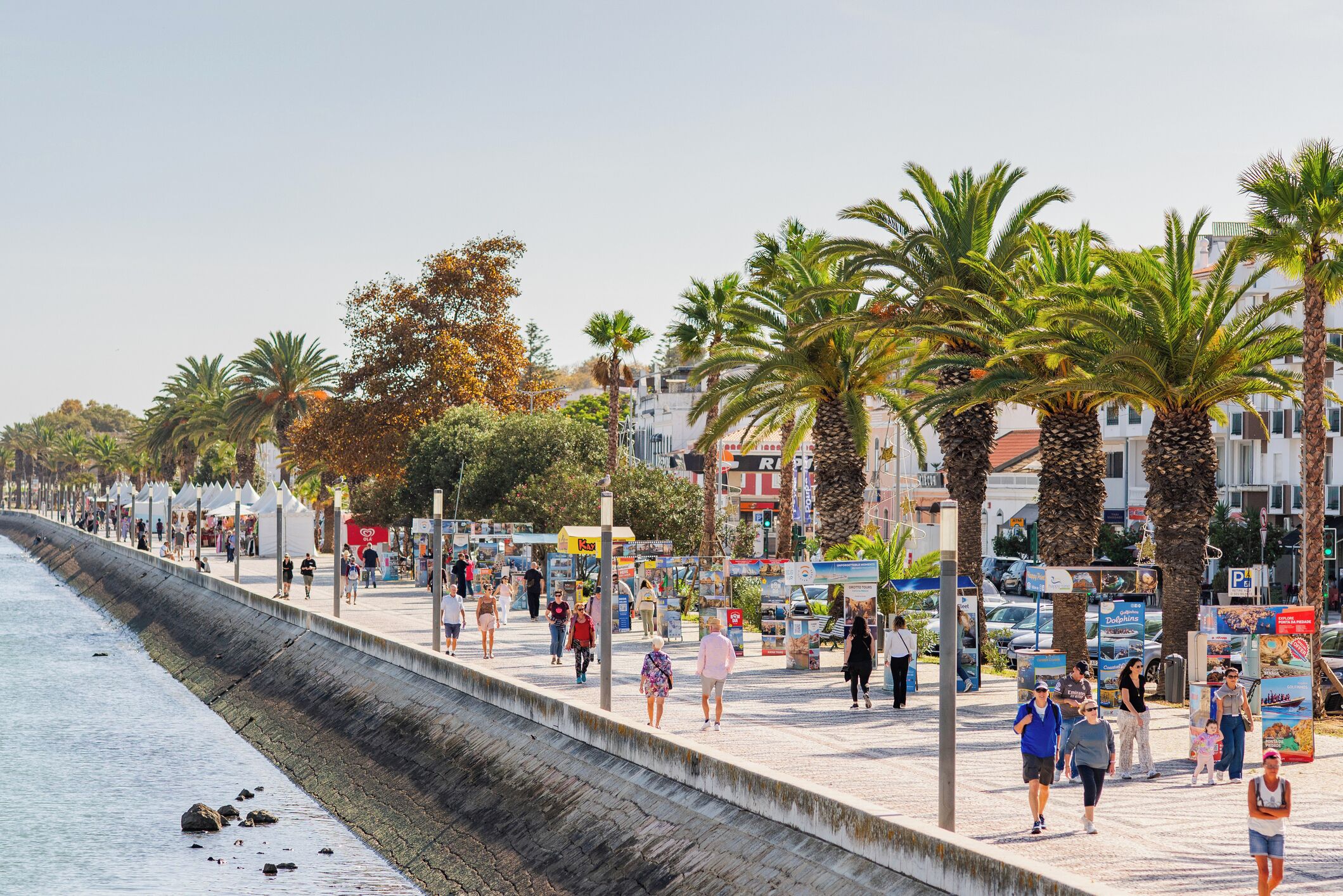 A seaside promenade with palm trees, a concrete barrier, and people walking.