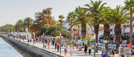 A seaside promenade with palm trees, a concrete barrier, and people walking.