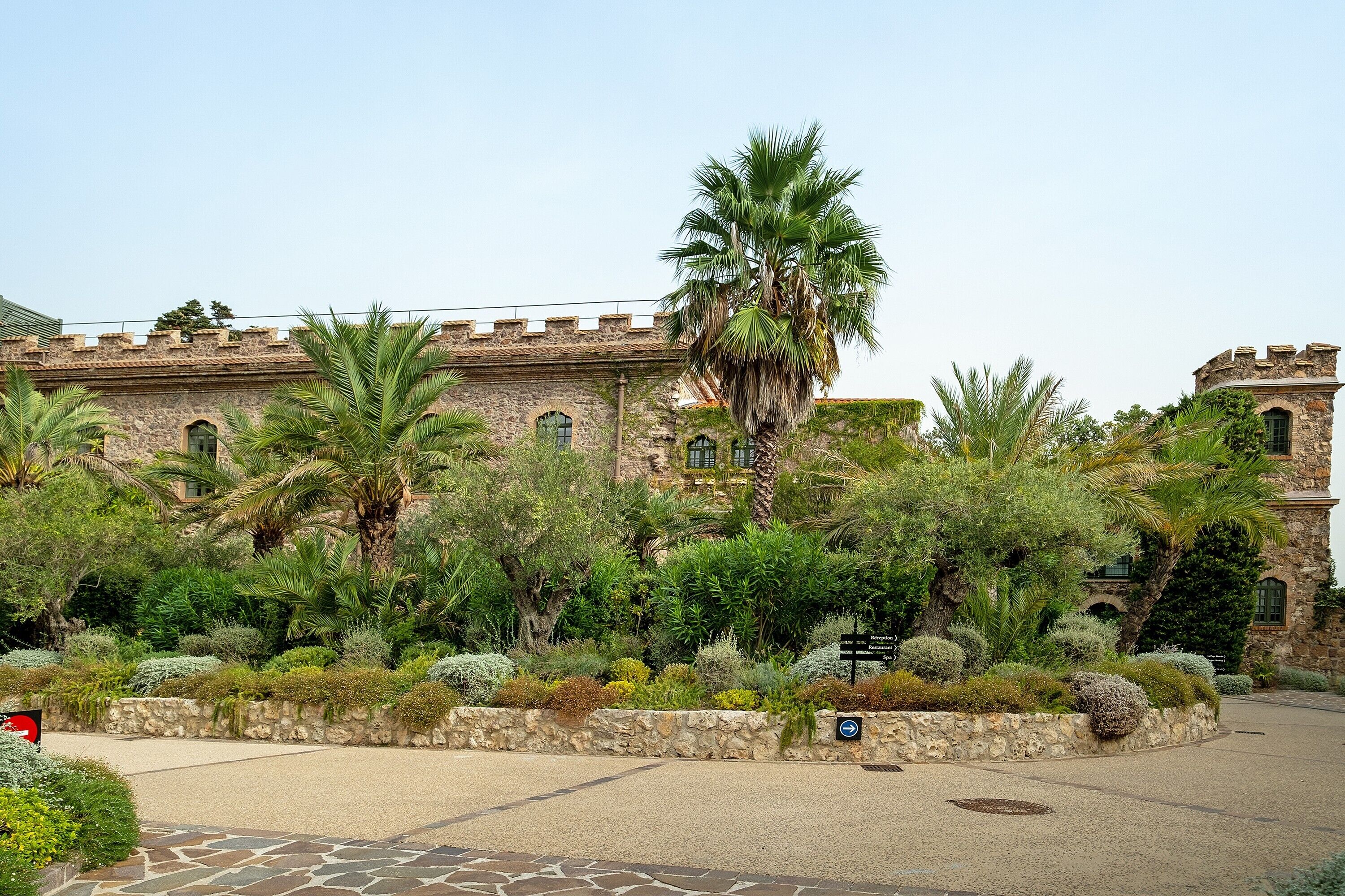 Un patio con un edificio de piedra, palmeras y un sendero de piedra.