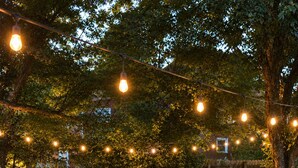 Un jardin avec un foyer, des chaises et des guirlandes lumineuses.