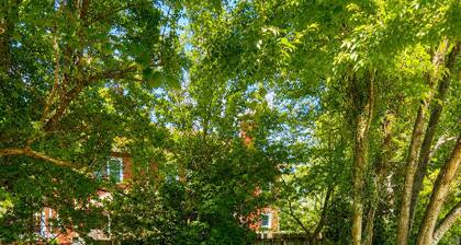 Private pet friendly guest studio in Knoxville