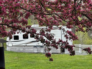 A white RV with a white fence and a tree with pink flowers in the foreground. - RV with great Mountain View with picnic area, ponds, trails and fruits trees (Hamden)