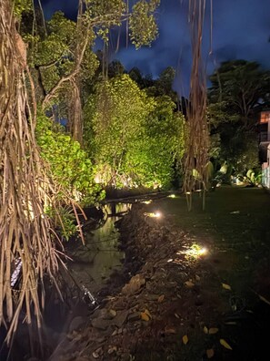 Vista al jardín