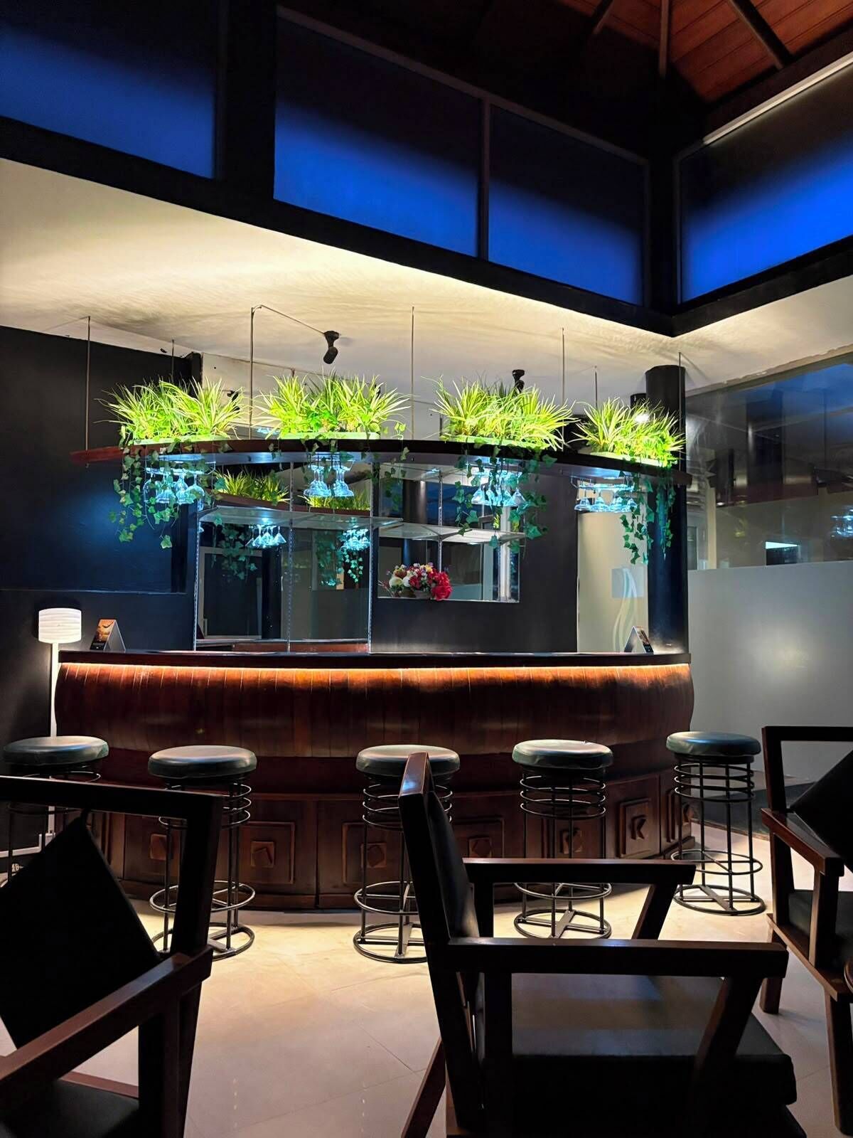 Bar (en la propiedad)