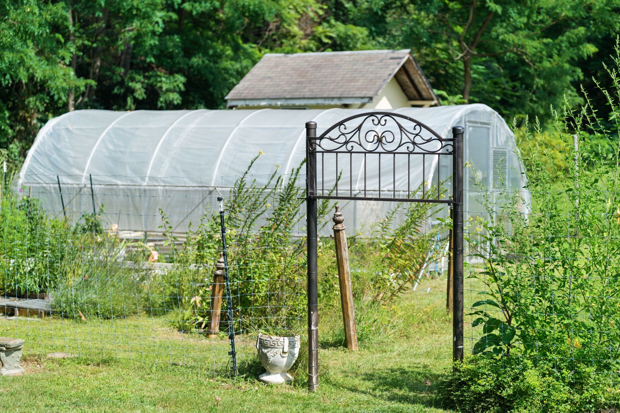 A greenhouse with a metal gate in a garden setting.