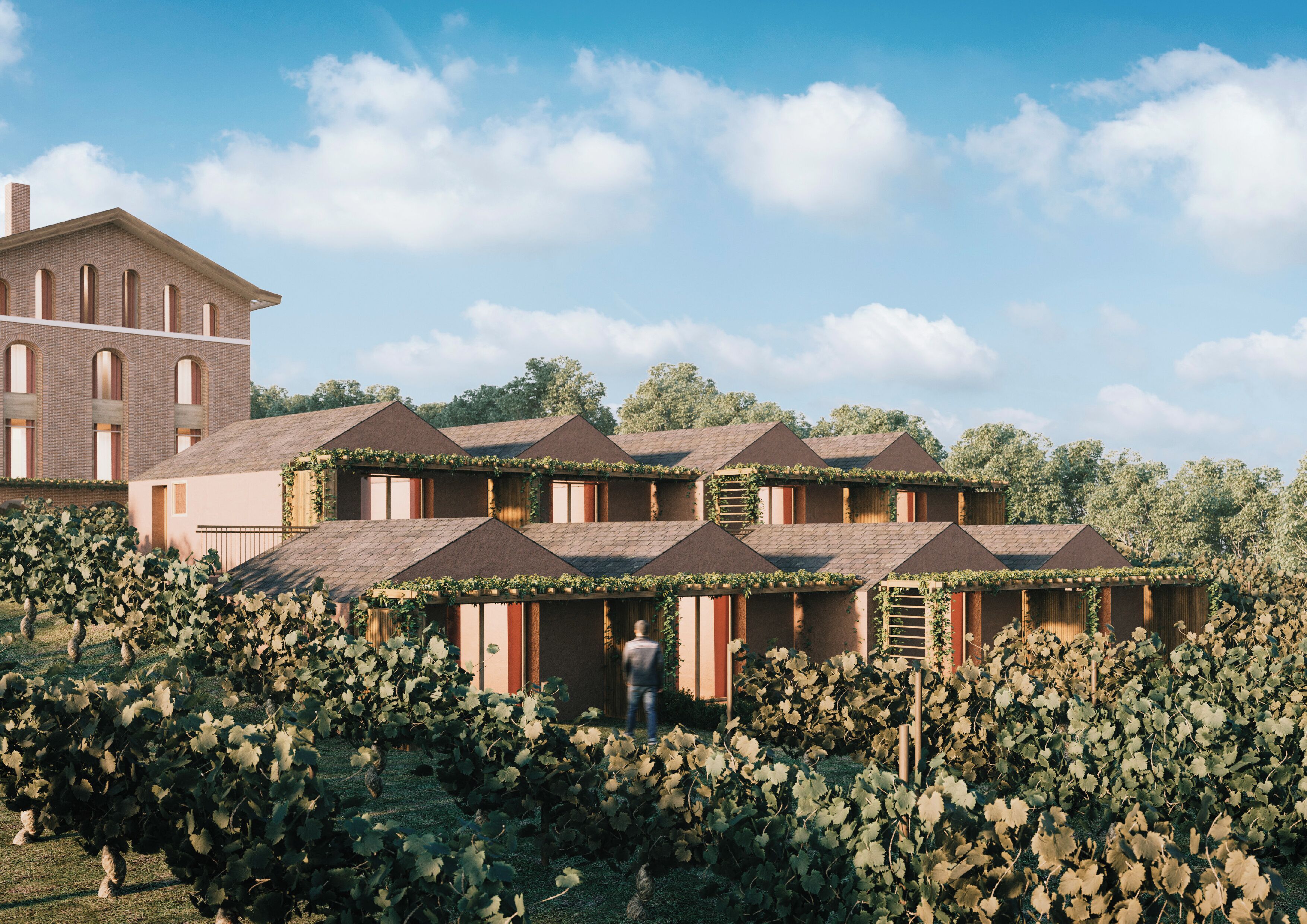 A vineyard with rows of grapevines and a building with multiple levels and dormer windows.