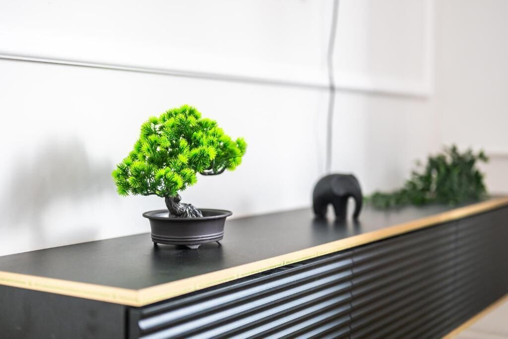 Un bonsai in vaso su un piano di lavoro nero, con una statuina di elefante nero e una piccola pianta sullo sfondo.