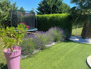 Een verzorgde tuin met een trampoline, diverse planten en een strakke haag.