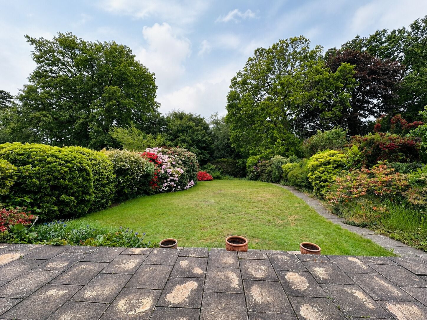Ein Garten mit gepflastertem Weg, der zu einer Rasenfläche führt, umgeben von verschiedenen Sträuchern und Bäumen.