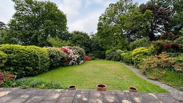Ein Garten mit gepflastertem Weg, der zu einer Rasenfläche führt, umgeben von verschiedenen Sträuchern und Bäumen.
